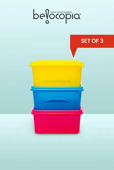 Belocopia Plastic Jumbo Indian Container Set - 650ml*3