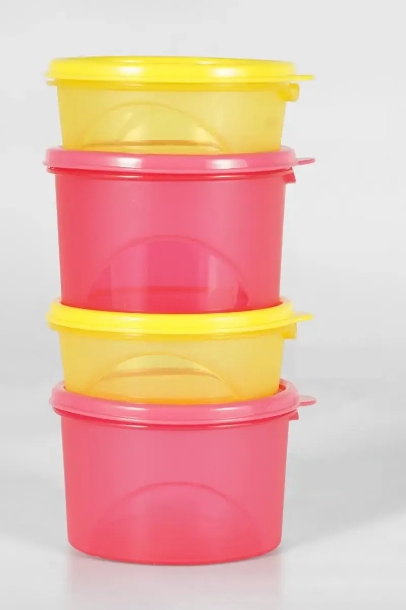 Belocopia Plastic Storany Container Set - 500ml & 250ml