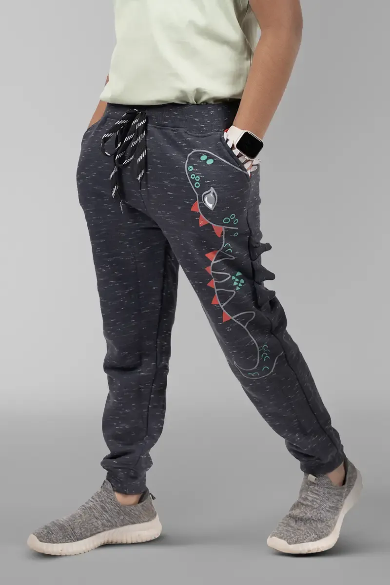 Cotton Printed Joggers for Boy 004099CHA34YRS