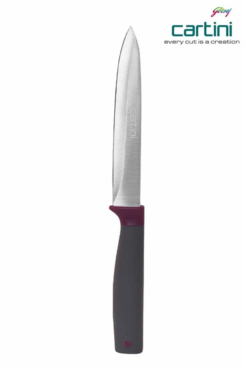 Godrej Stainless Steel Classic Salad Knife - Pack of 1