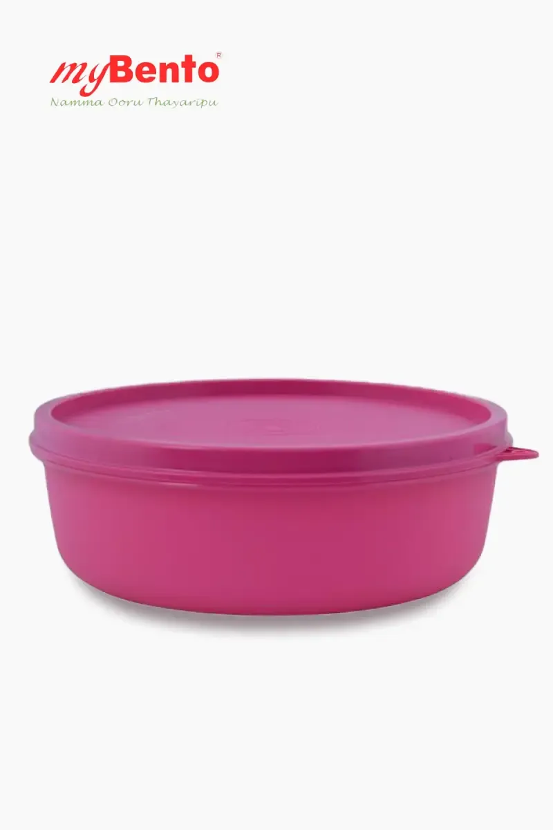 MyBento Plastic Globe Grand Lunch Box - 700ml 009016PIN1