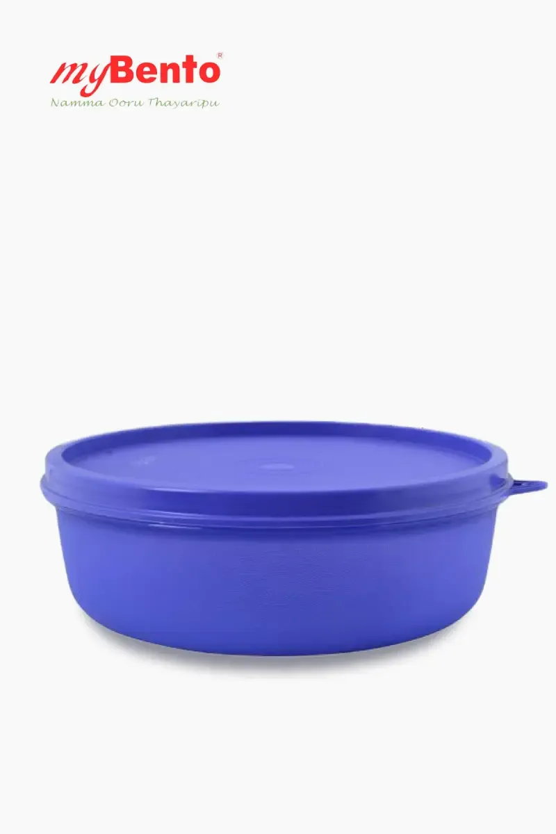 MyBento Plastic Globe Grand Lunch Box - 700 ML 009016VIO1