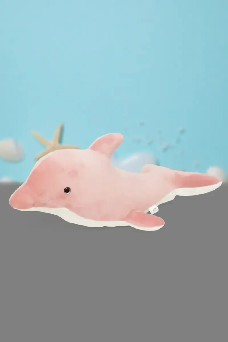 Denny The Intelligent Dolphin Soft Toy  010609PIN