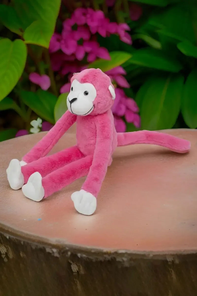 Marcel The Friendly Chimapanzee Soft Toy 010827BABPIN2