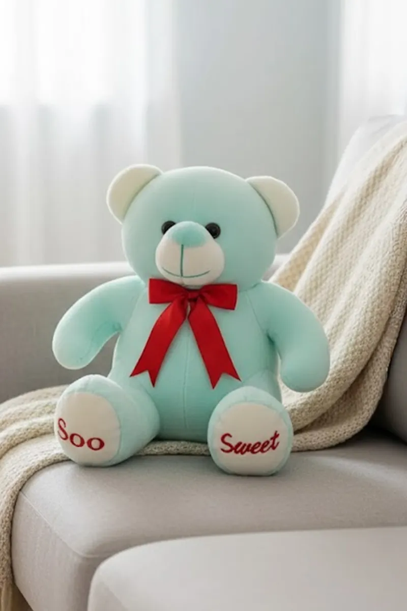 Teddy Plush Stuffed Toy (10 Inch) 011739MUL