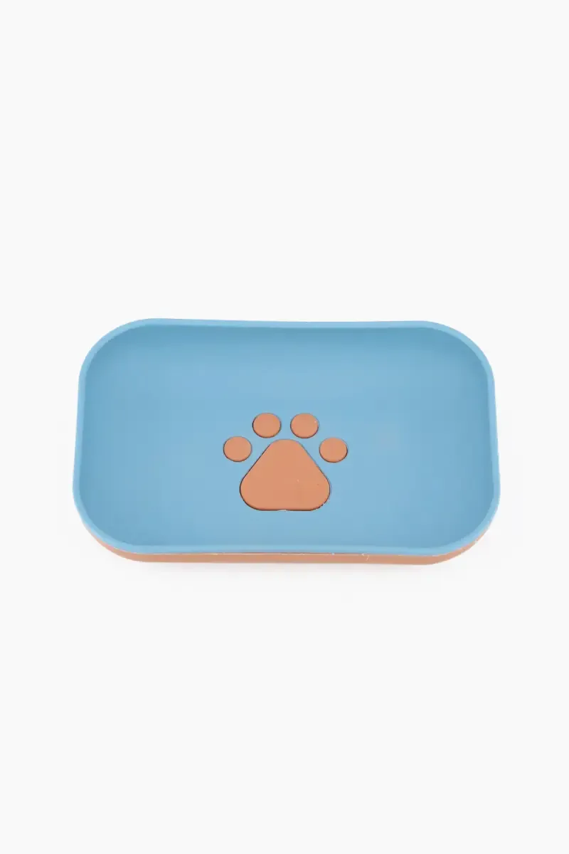 Plastic Printed Soap Case - 14 Cm