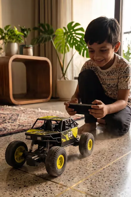 App Control & USB Rechargeable Monster Truck Toy