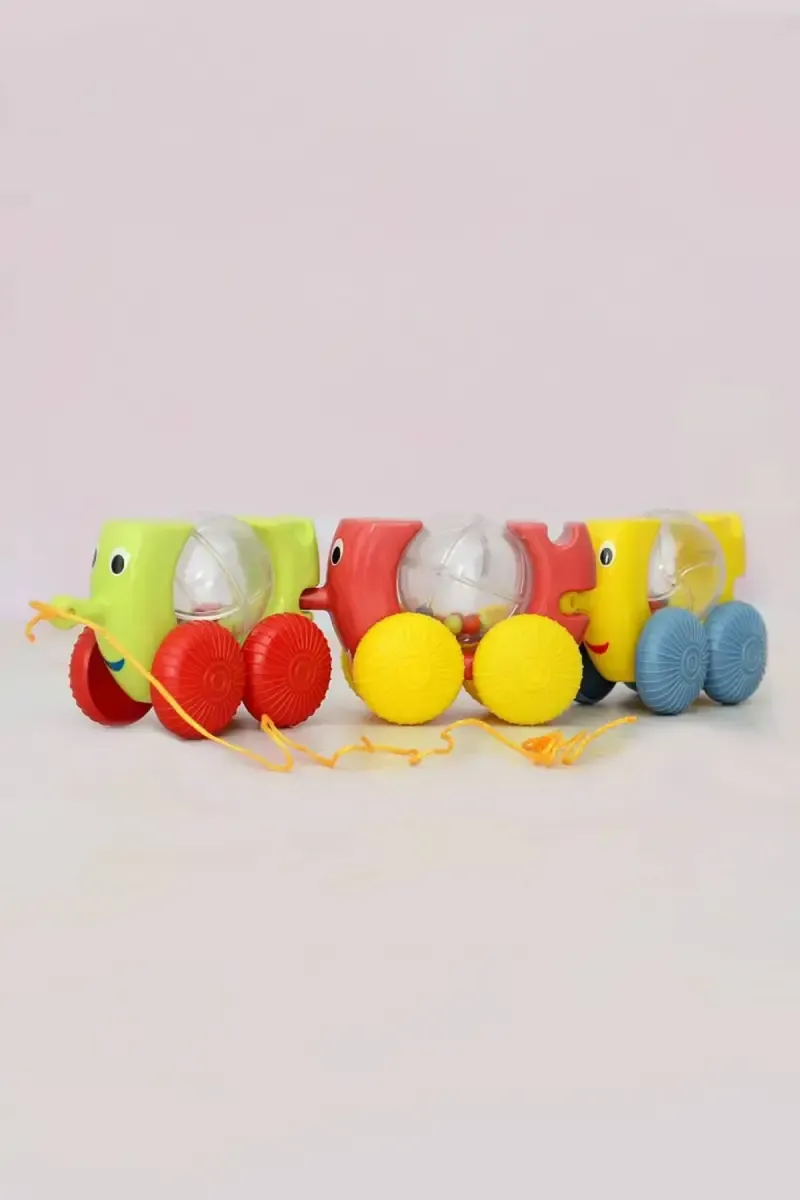 Giggles Caterpal 2 in 1 Pull Along Toy (Multicolor)