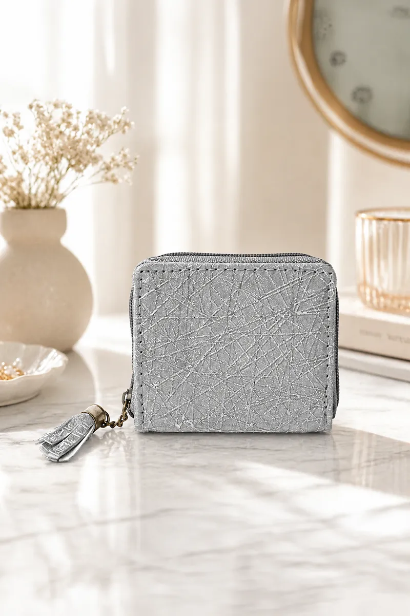 Glittering Small Coin Purse for Girls and Women 013119SIL