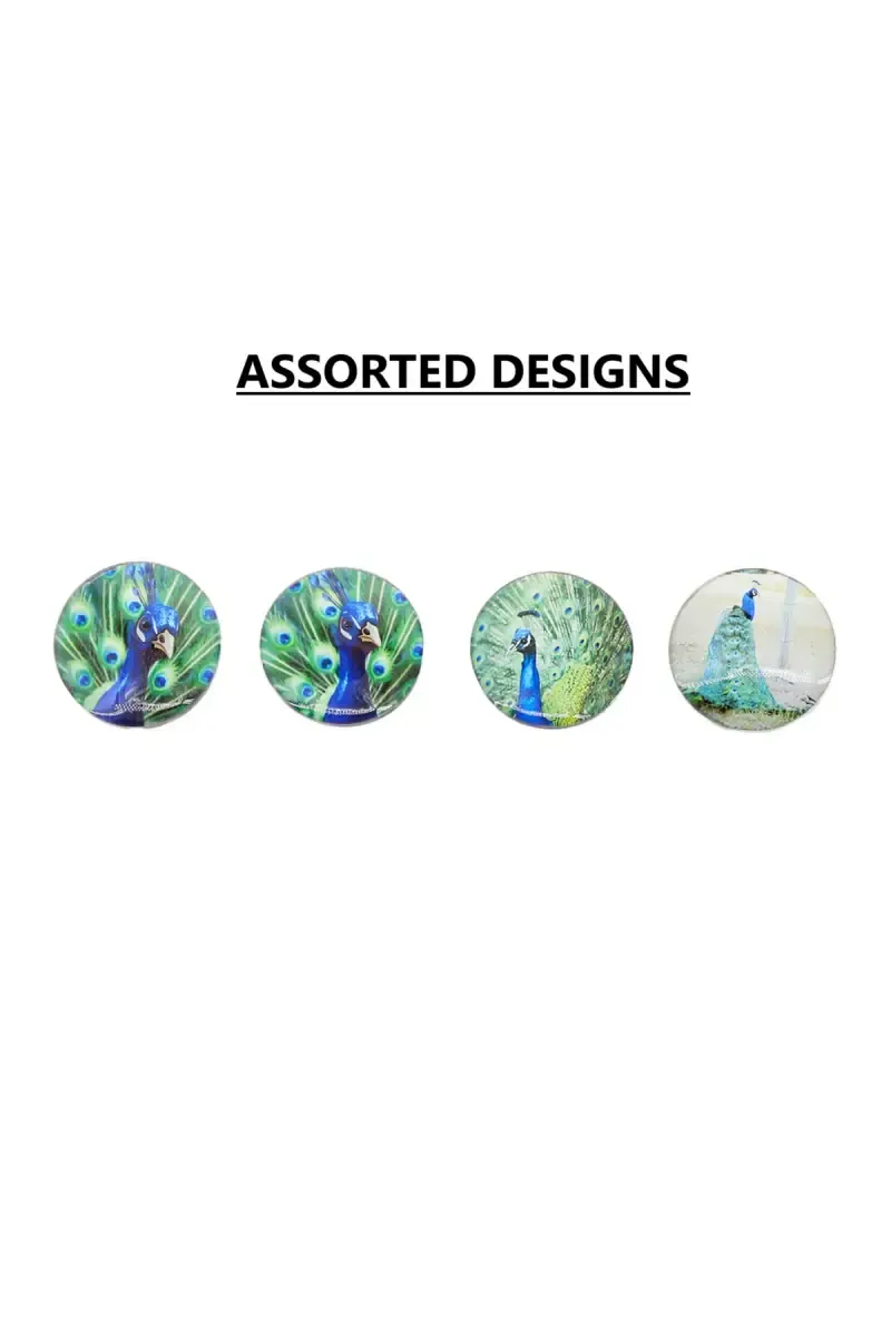 Plastic Peacock Printed Magnetic Fridge Sticker - 1 Pc (Assorted Design)
