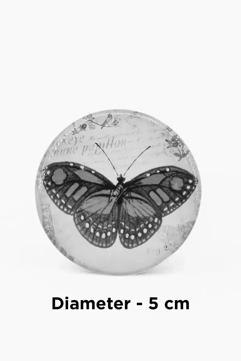 Plastic Butterfly Printed Magnetic Fridge Sticker - 1 Pc (Assorted Design)