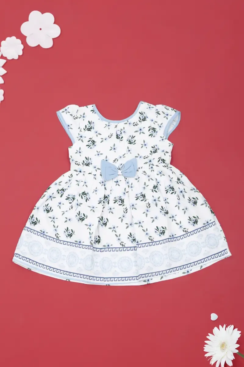 Baby Girl's Floral Printed Dress  015647BLU612