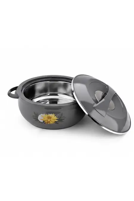 Asian Plastic & Stainless Steel Non Deluxe Nova Casserole - 2500 ML