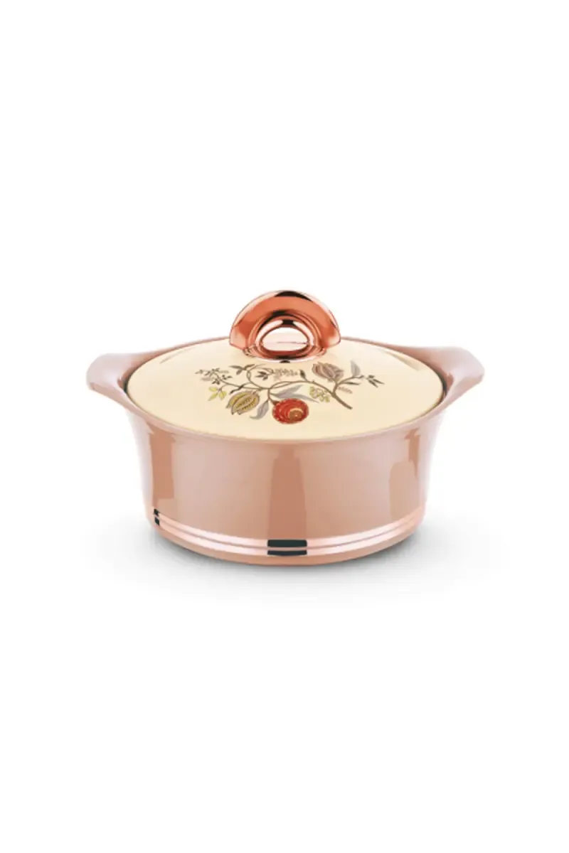 Asian Plastic & Stainless Steel Non Deluxe Nova Casserole - 2500 ml