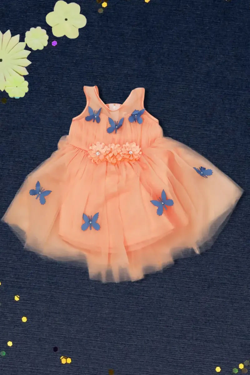 Baby Girl's Netted Frock  016845COR36M