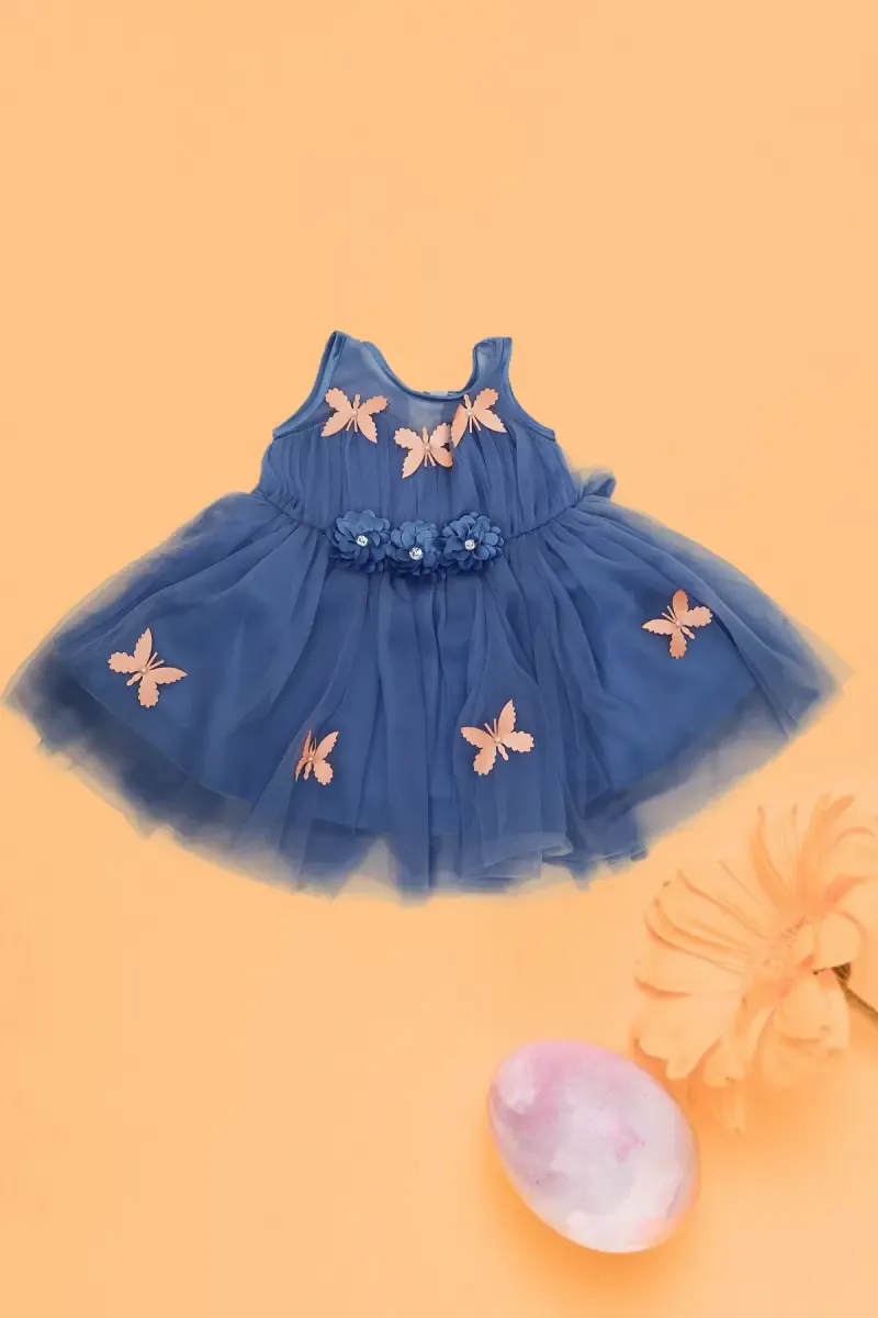 Baby Girl's Netted Frock 