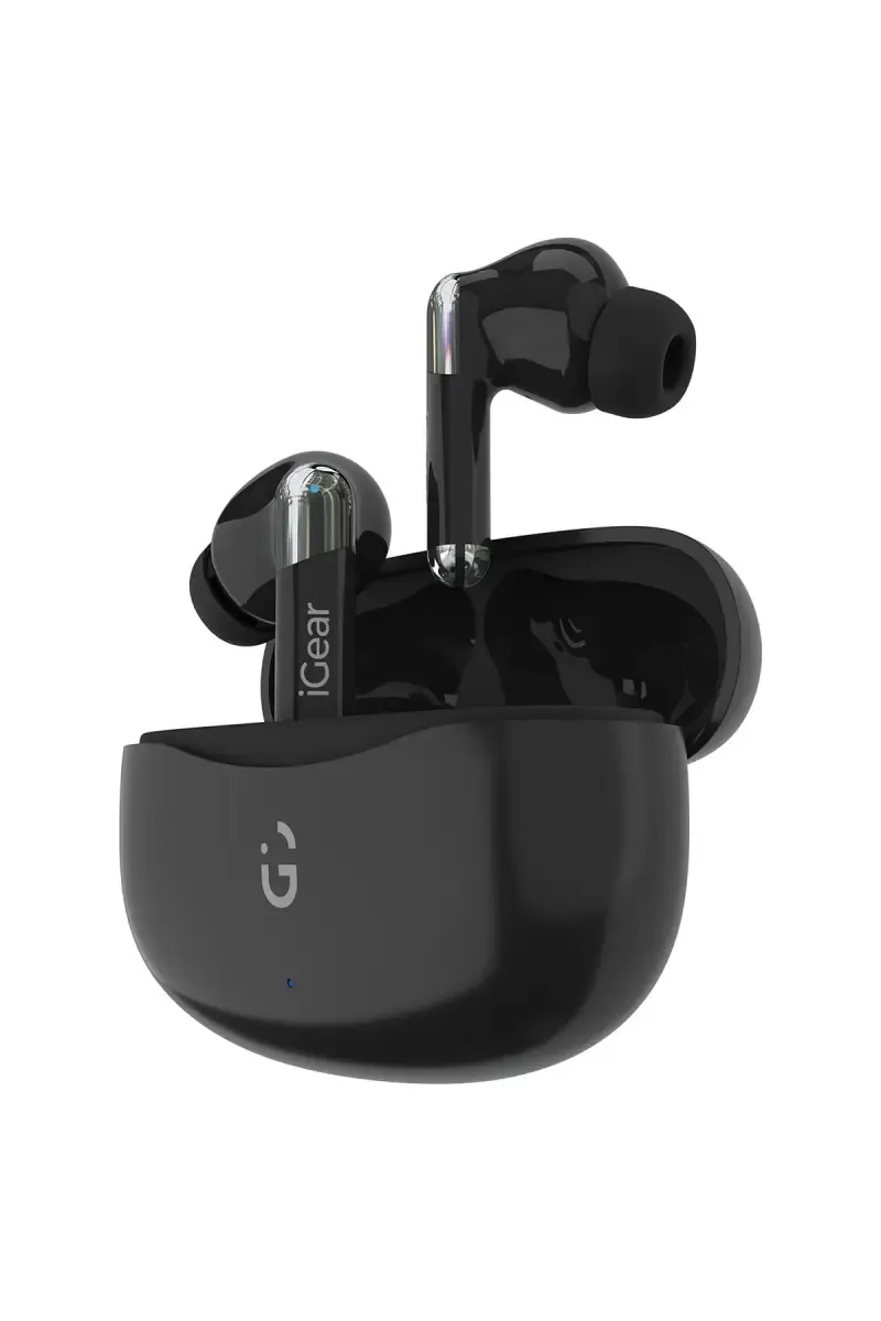 iGear ANC Pro In Ear TWS Earbuds with ANC, Quad Mic Support, Auto-Connect, EDR Chipset (Black)