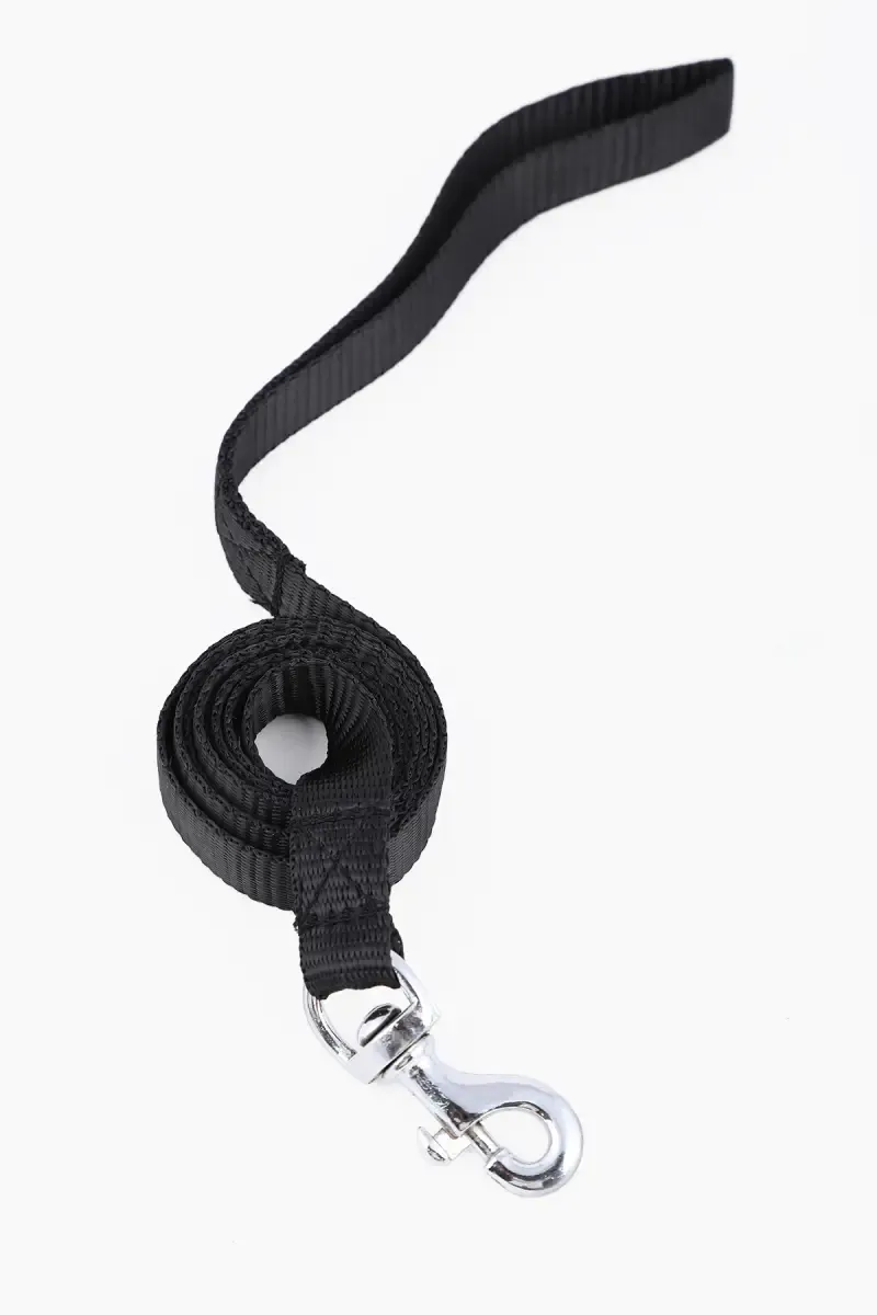 Canine Nylon Padded Adjustable Collars (Black) For Dogs - 2.0