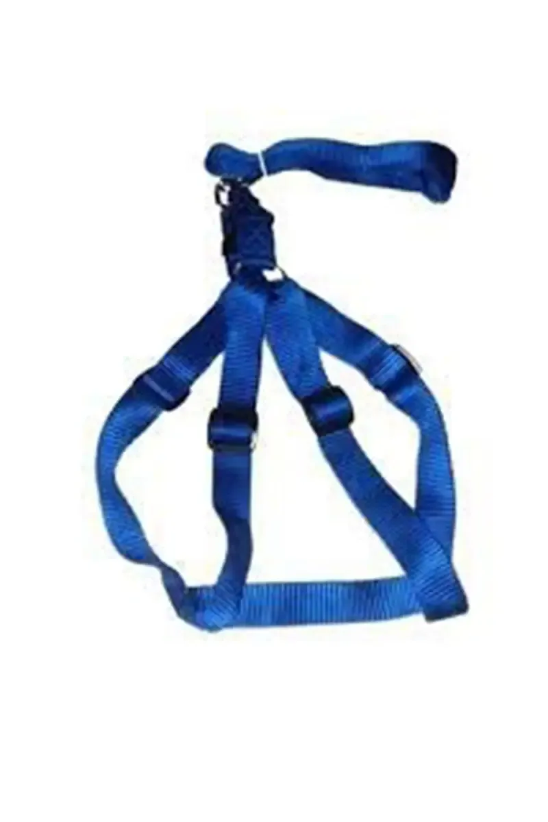 Canine Collar Leash For Dogs (Blue) - 2.5 mm