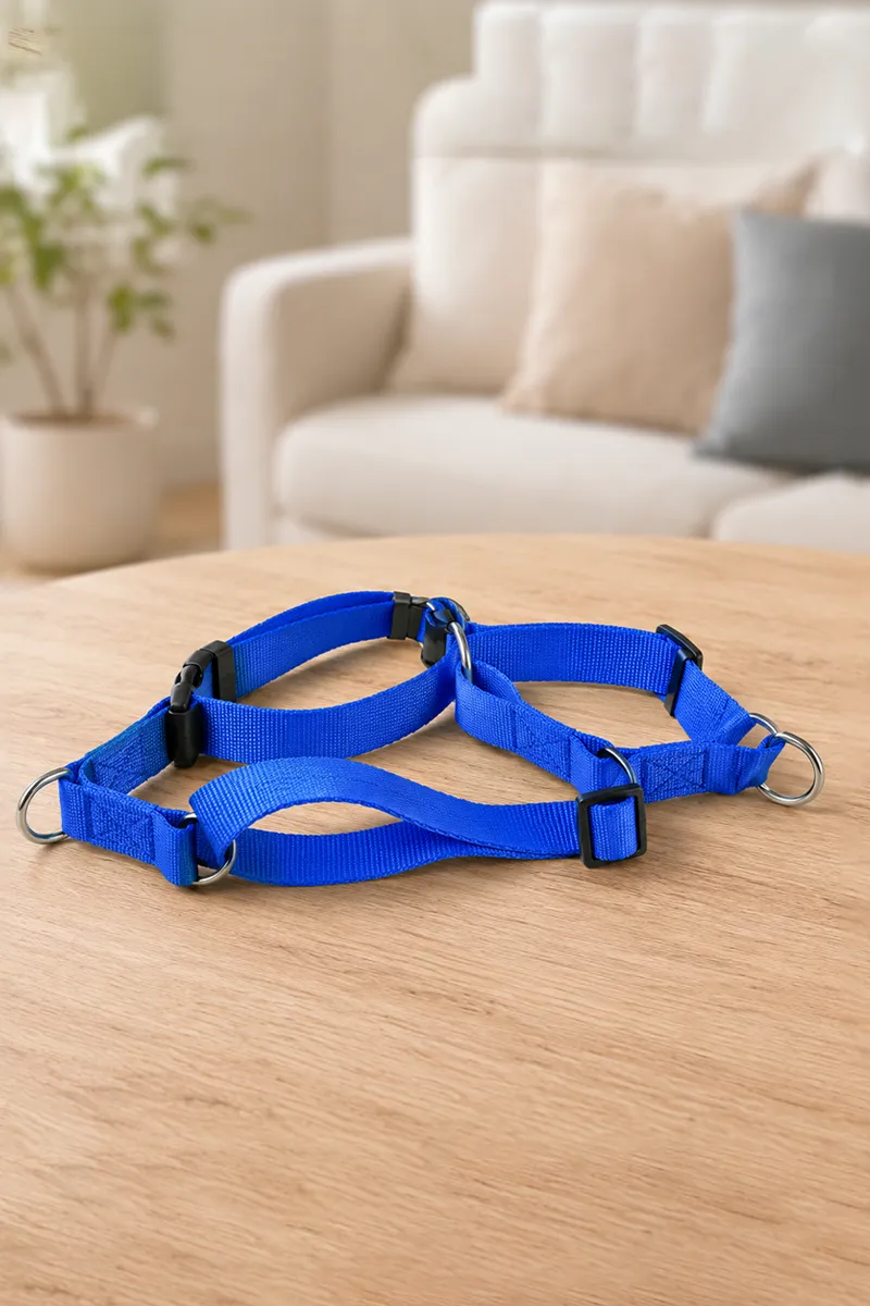Canine Collar Leash For Dogs (Blue) - 2.0 mm 017785BLU20