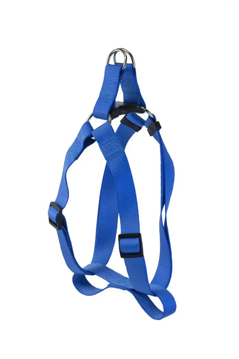 Canine Collar Leash For Dogs (Blue) - 3.5 mm