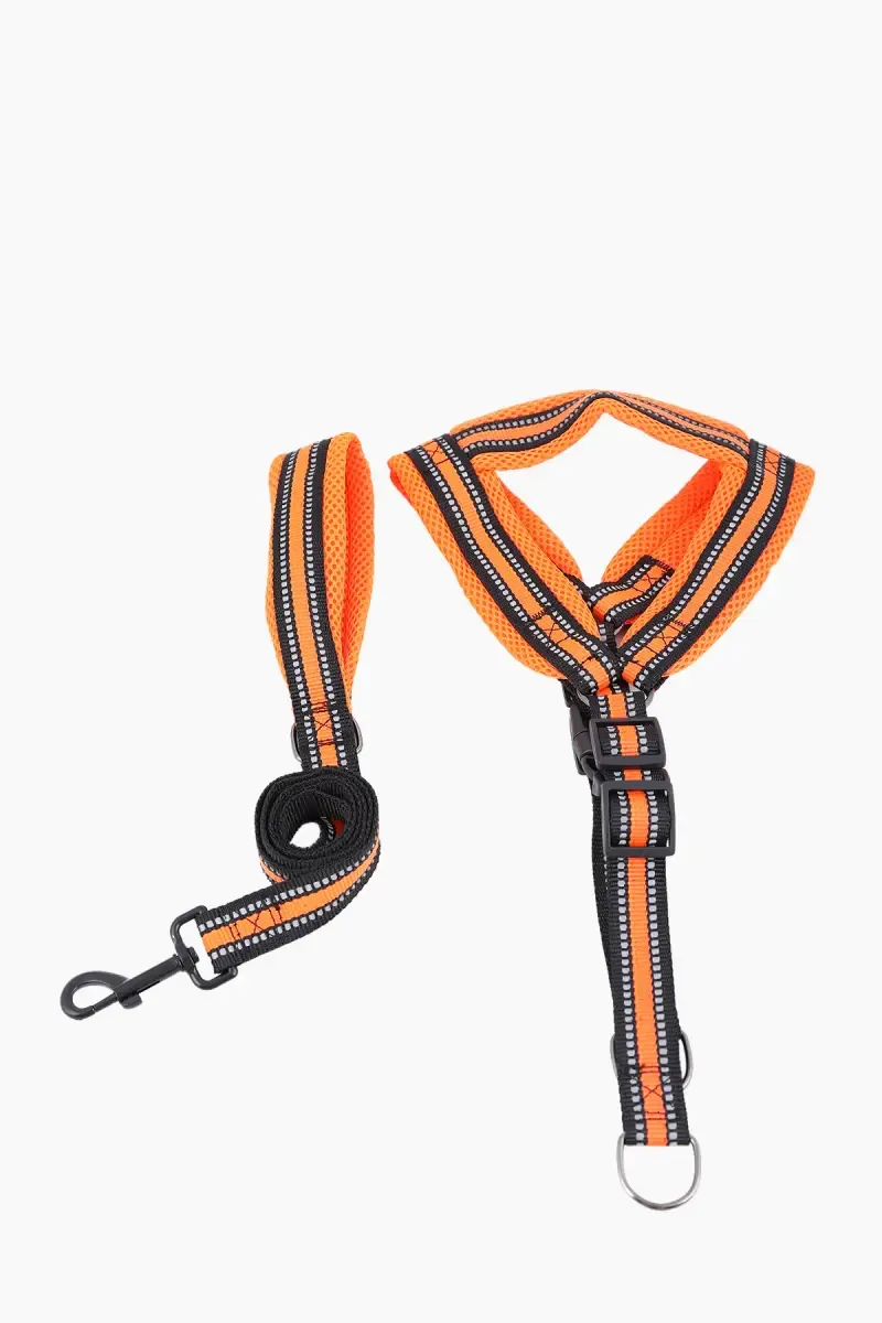 Petshop7 Nylon Mesh Body Collar Set For Dogs (Multicolor) - 2.0 Cm