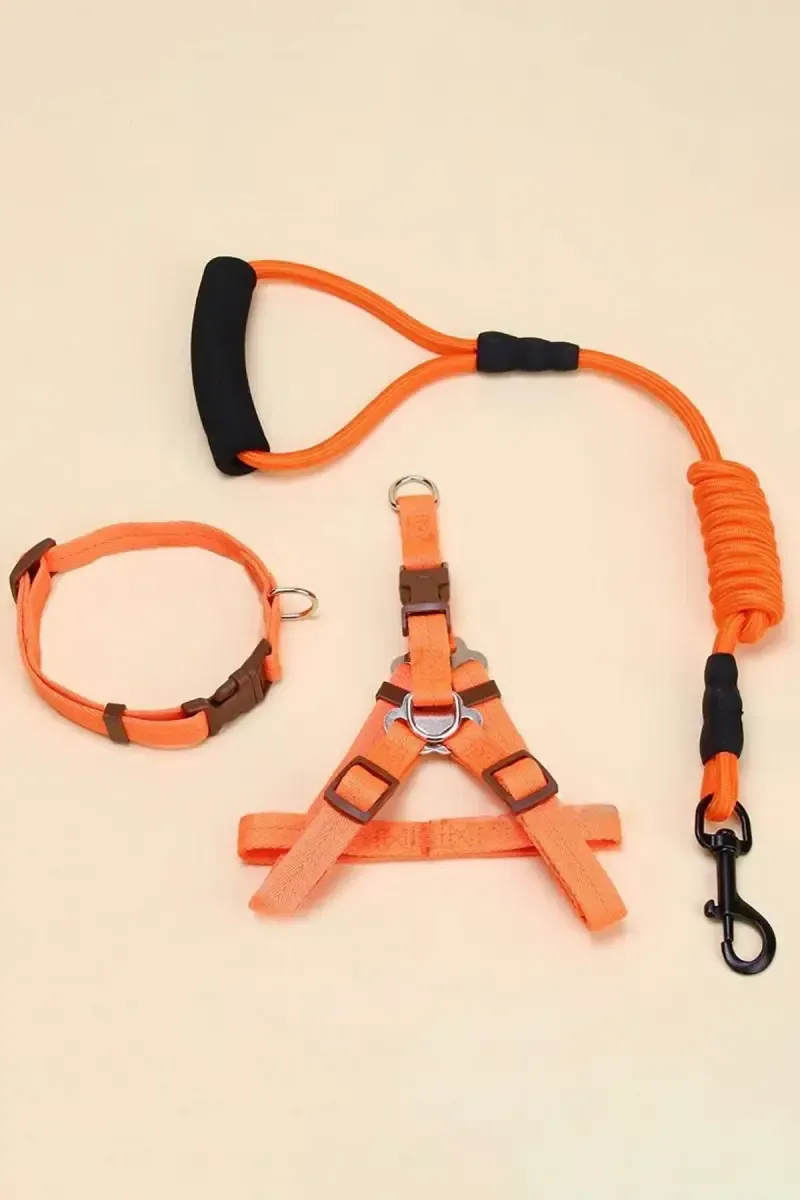 Canine Nylon Solid Rope Leash For Dogs (Orange) - 2.5 mm