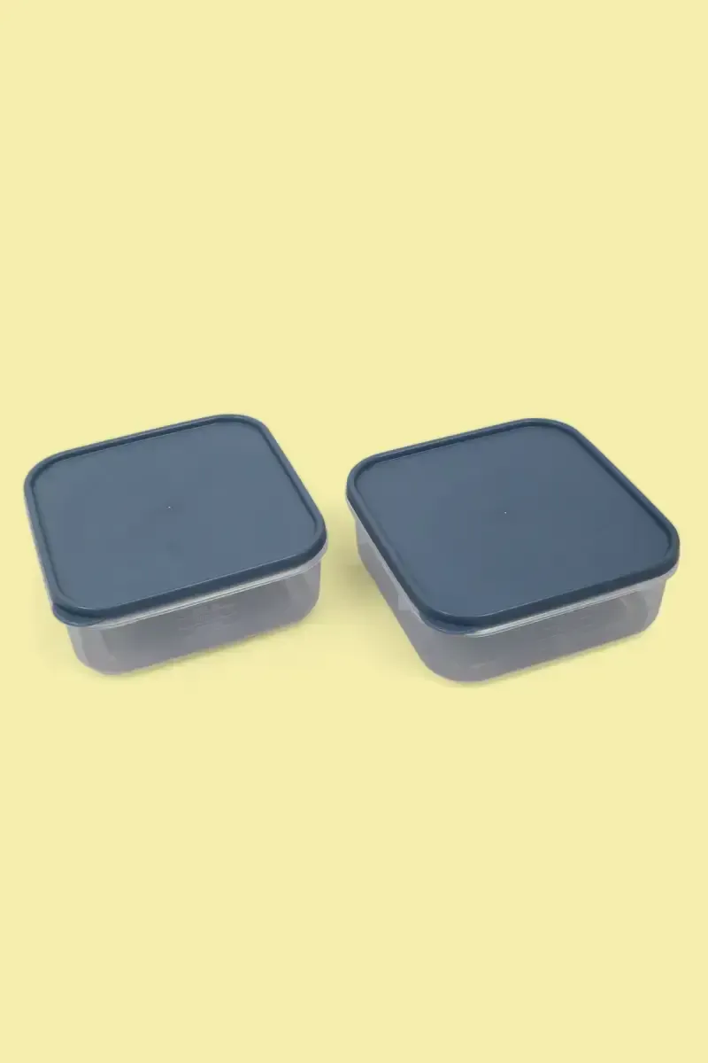 All Time Plastic Polka Containers, Set of 2 - 500ml (Each) 018227GRE500