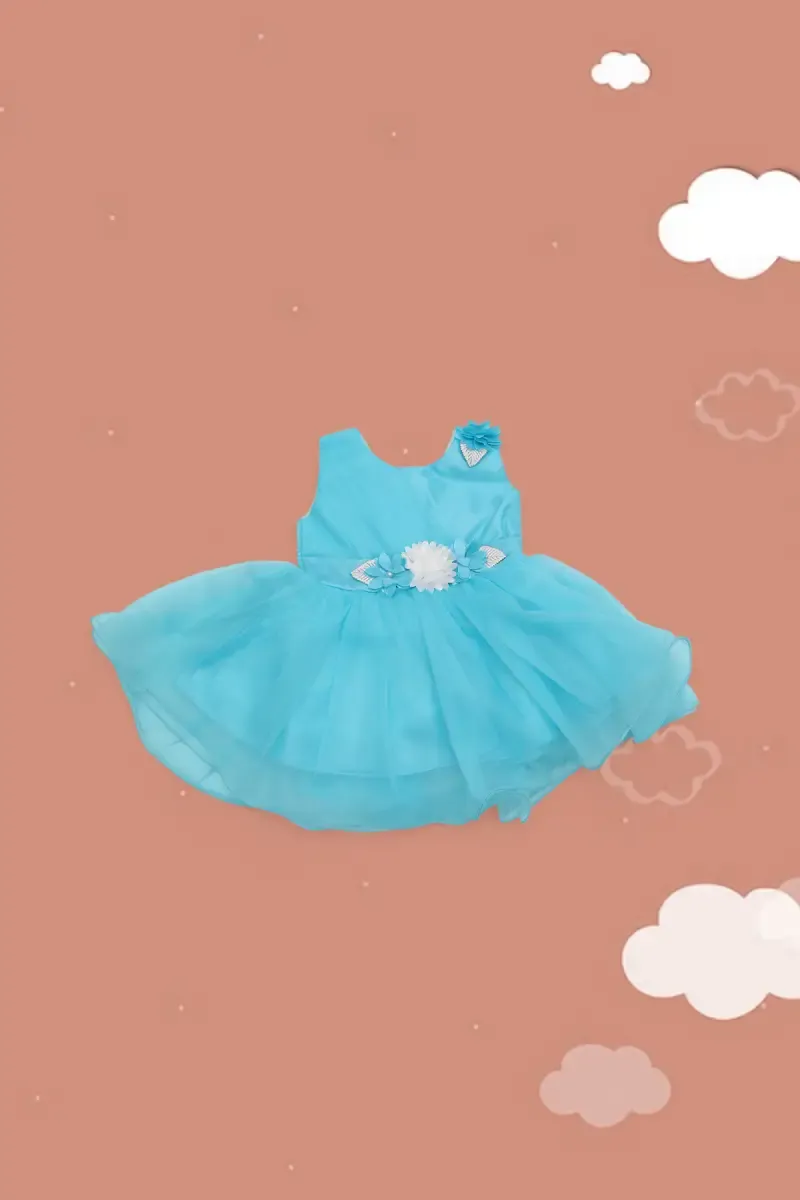 Just Born Baby Girl's Netted Frock  018914BLU612