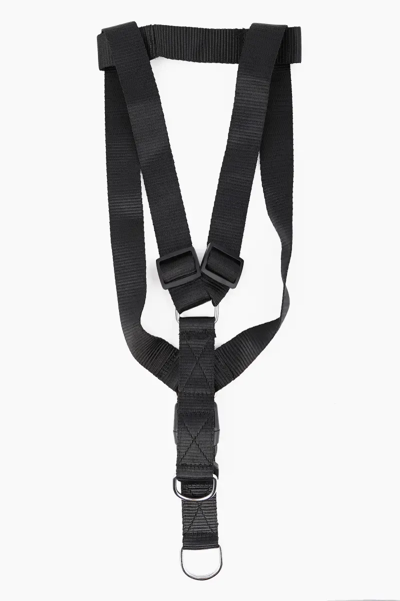 Canine Collar For Dogs (Black) - 2.0 Cm 019917BLA2.0