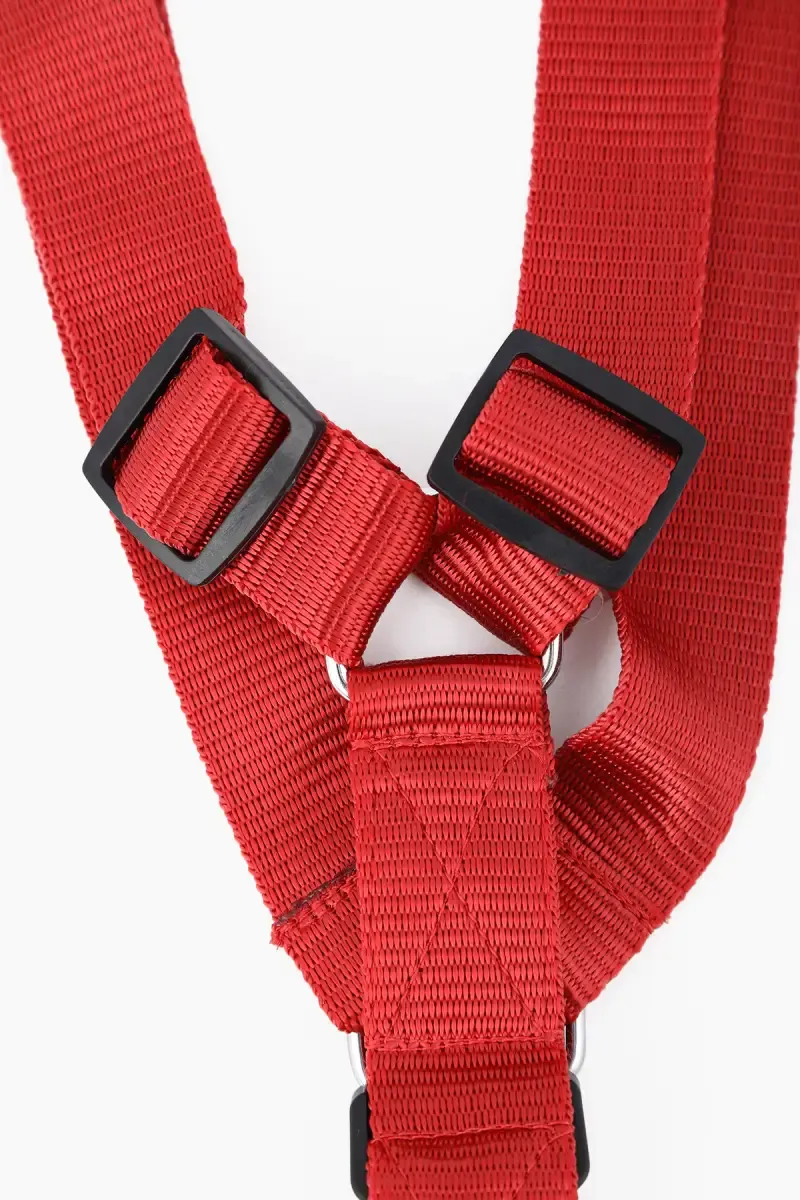 Canine Collar For Dogs (Red) - 3.5 Cm 019917RED3.5