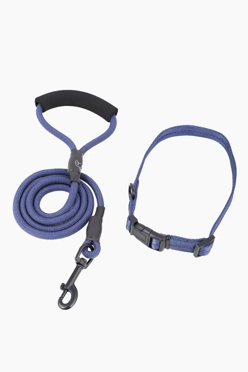 Canine Nylon Dog Rope Leash With Collar (Blue) - 2.5 Cm 019918BLU2.5