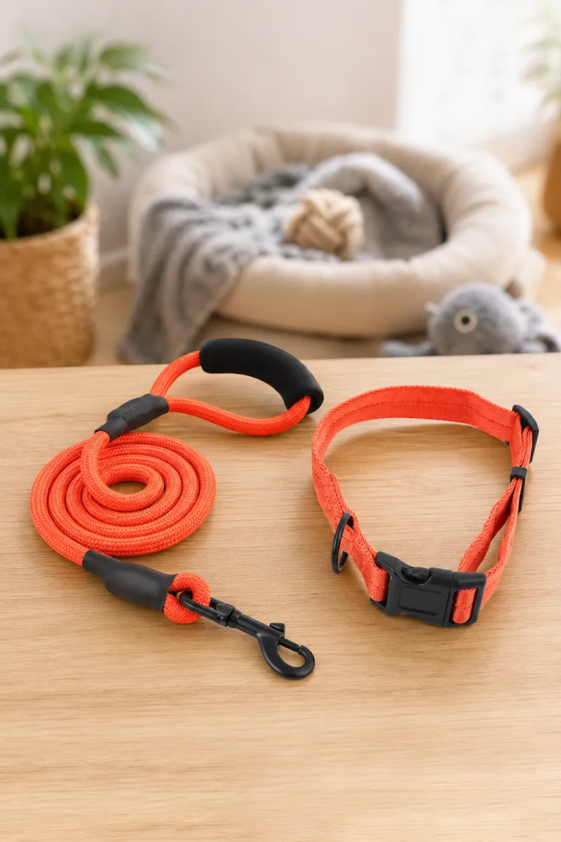 Canine Nylon Dog Rope Leash With Collar (Orange) - 2.5 mm 019918ORA25