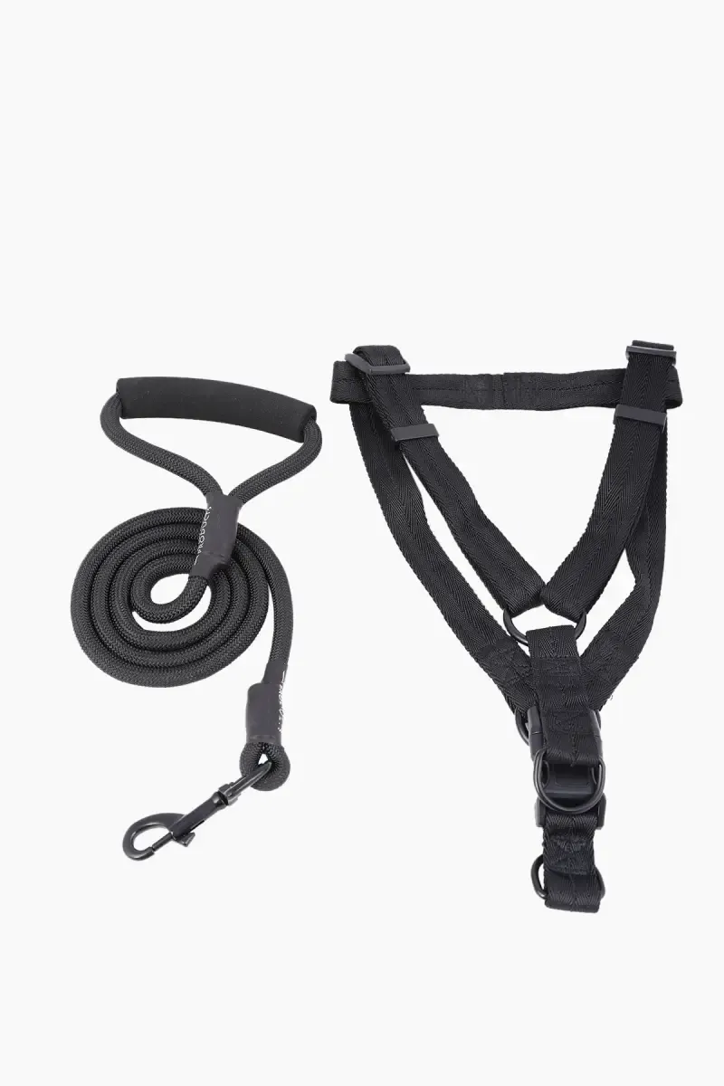 Canine Nylon Dog Leash Rope With Body Collar (Black) - 1.5 mm 019919BLA15