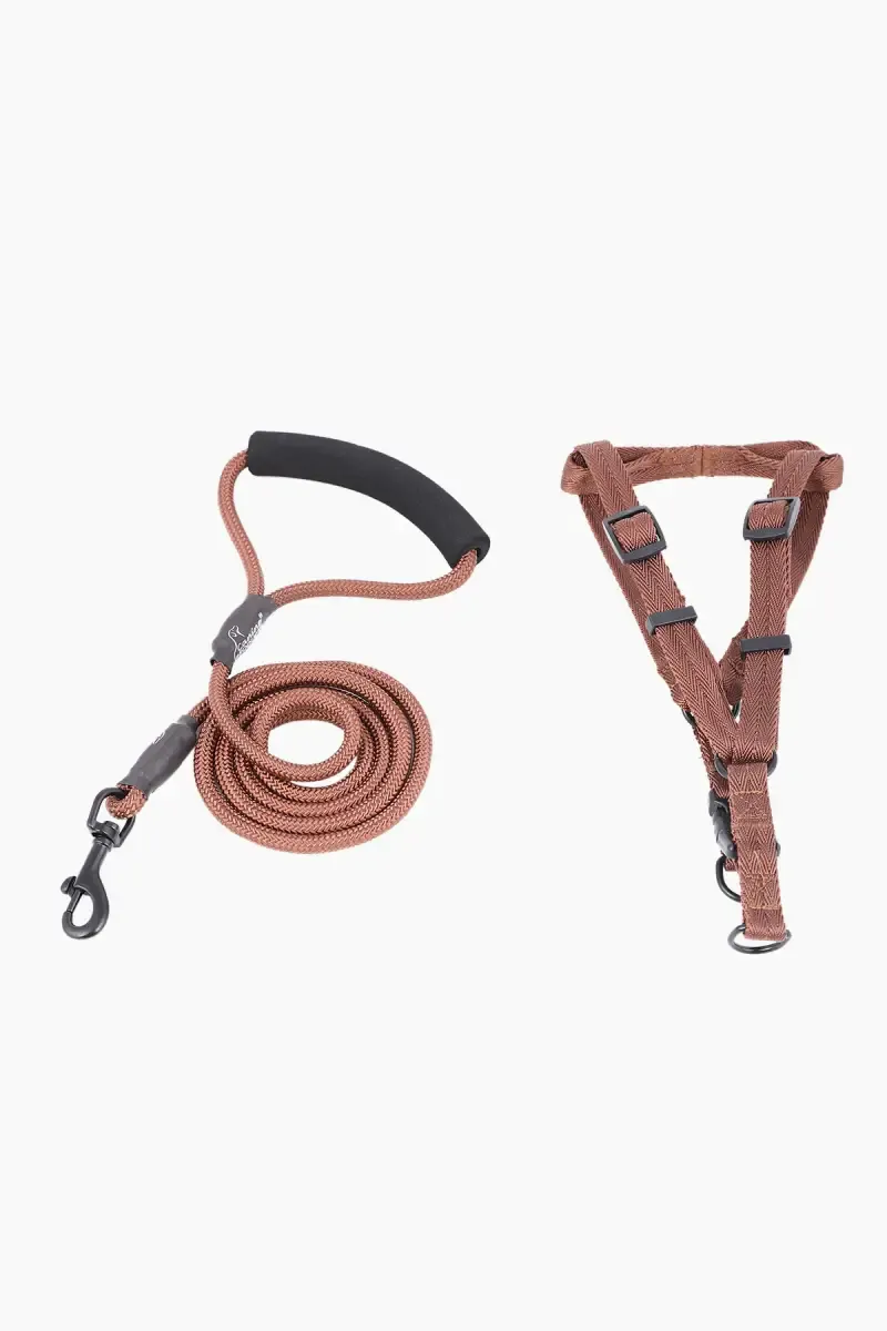 Canine Nylon Dog Leash Rope With Body Collar (Brown) - 2.5 Cm  019919BRO2.5