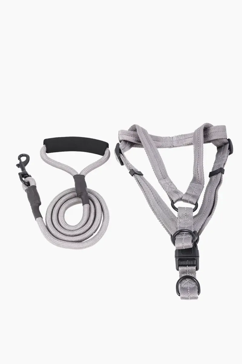 Canine Nylon Dog Leash Rope With Body Collar (Grey) - 2.5 mm 019919GRE25