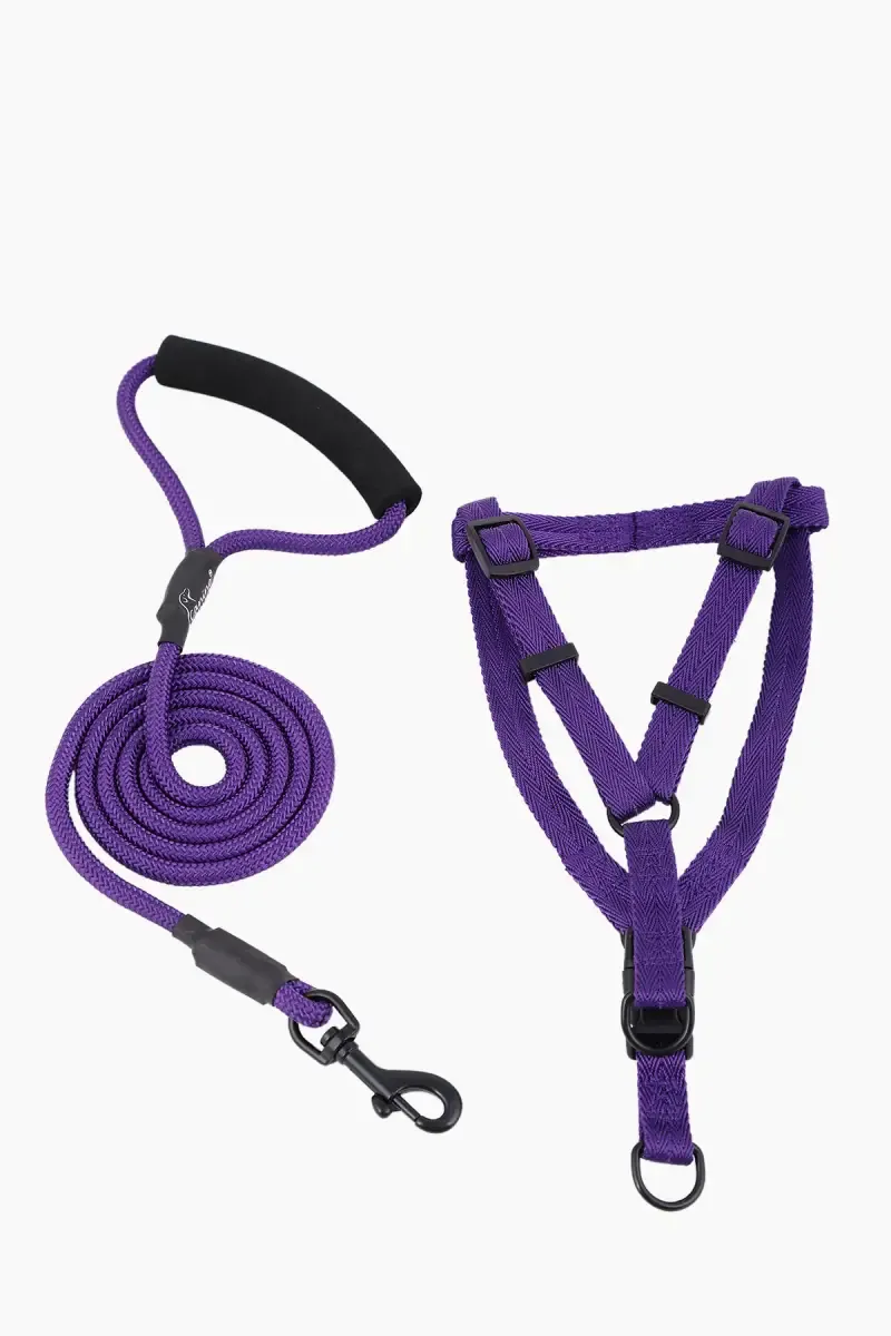 Canine Nylon Dog Leash Rope With Body Collar (Lavender) - 1.5 Cm 019919LAV1.5