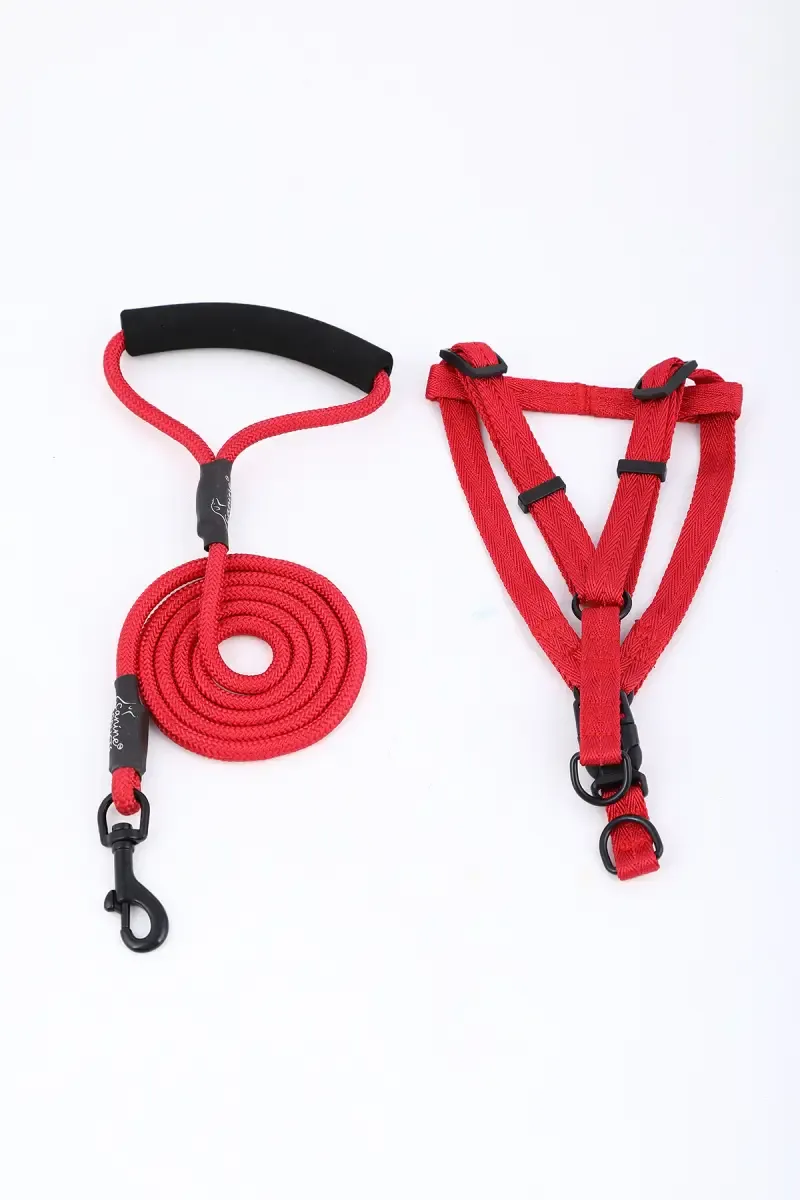 Canine Nylon Dog Leash Rope With Body Collar (Red) - 2.5 mm