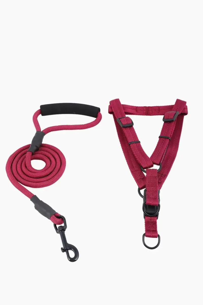 Canine Nylon Dog Leash Rope With Body Collar (Maroon) - 2 Cm
