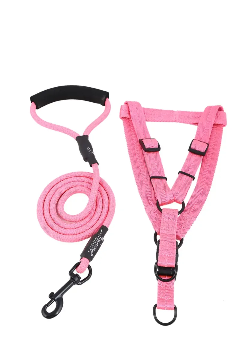 Canine Nylon Dog Leash Rope With Body Collar (Pink) - 2 Cm