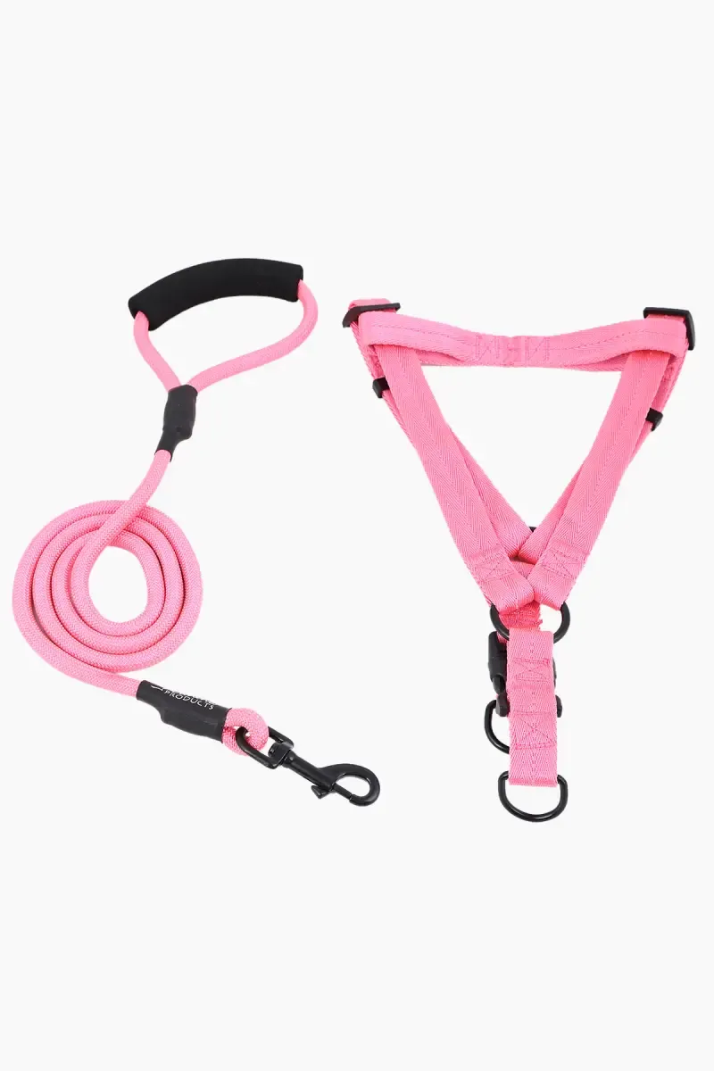 Canine Nylon Dog Leash Rope With Body Collar (Pink) - 2.5 Cm