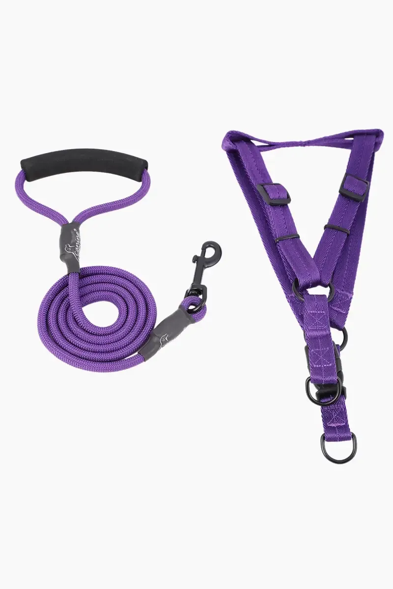 Canine Nylon Dog Leash Rope With Body Collar (Purple) - 2 Cm