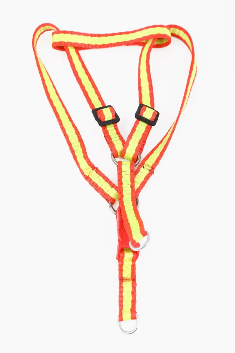 Canine Solid Collar for Dogs (Multicolor) - 1.5 Cm