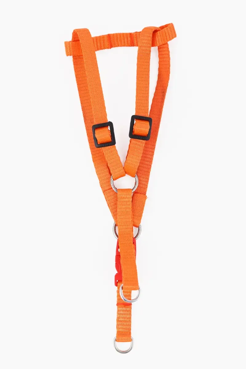 Canine Solid Collar for Dogs (Orange) - 1.5 Cm
