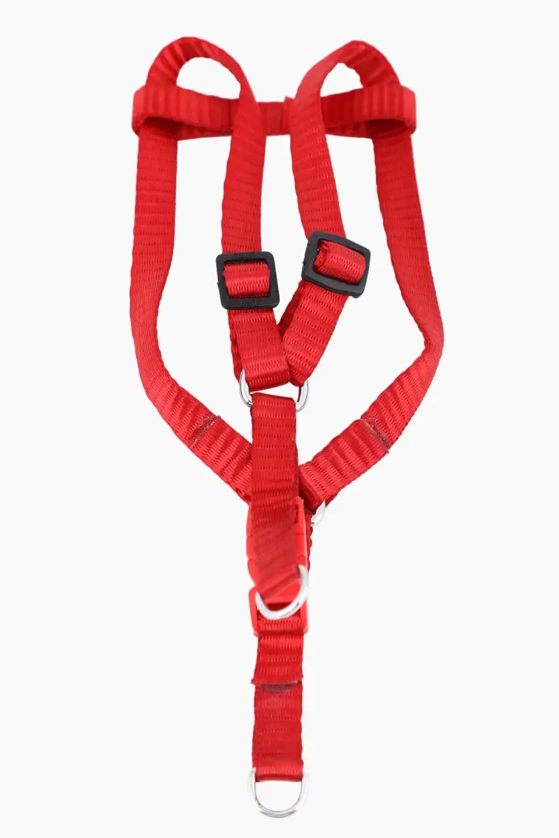 Canine Solid Collar for Dogs (Red) - 1.5 Cm