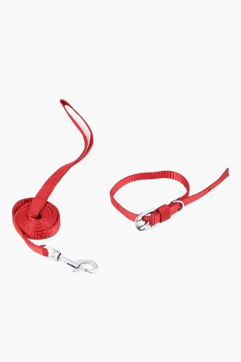 Canine Nylon Solid Dog Collars - 2 Cm Red 