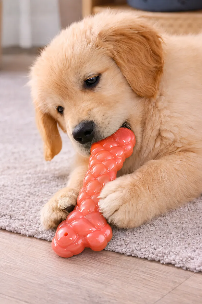 Canine Squeeky Bone Toy For Dogs (Red) - Large 020417REDLAR