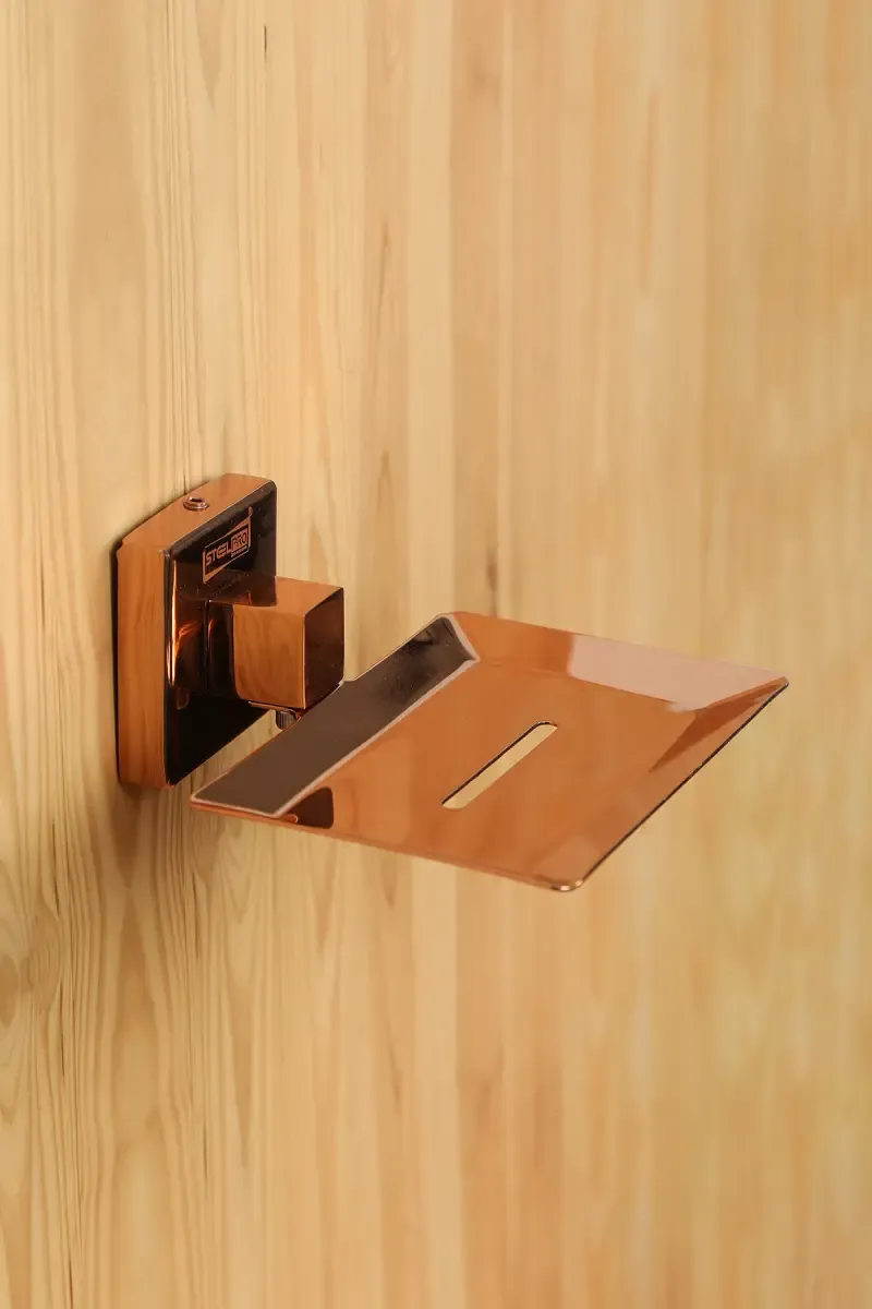 Focus Aqua Stainless Steel Soap Holder - 13cm 020718ROSGOLSTASTE