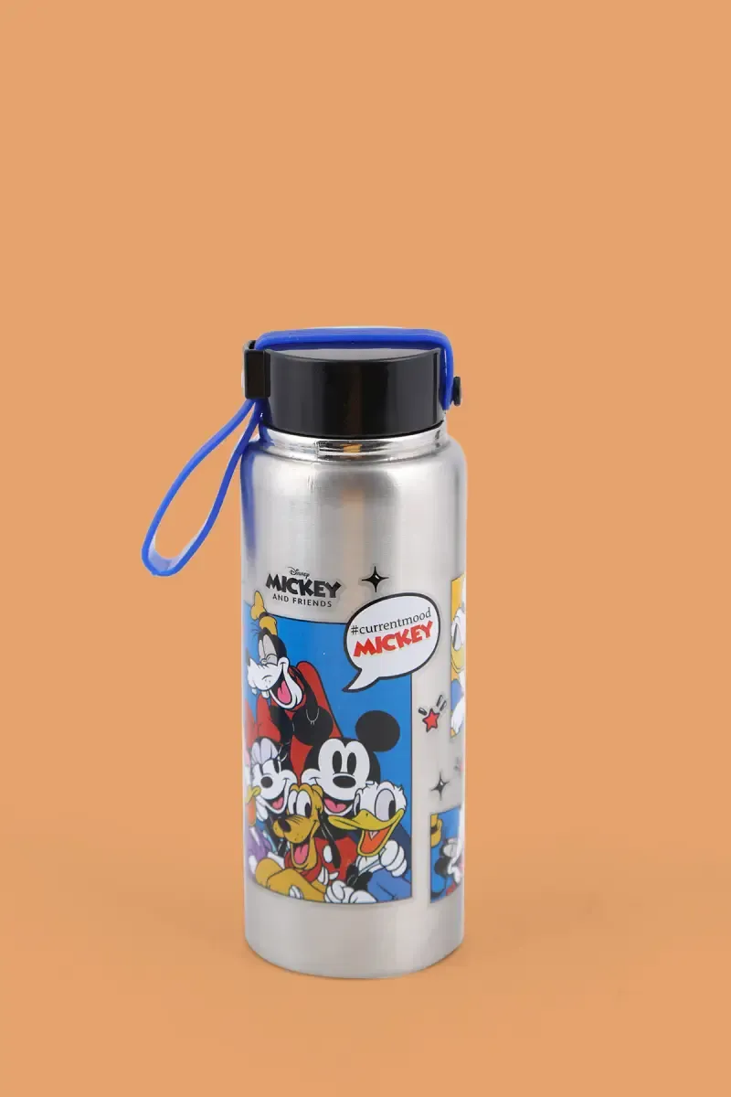 SKI Stainless Steel Mickey Mouse & Friends Water Bottle, Pack of 1 - 450 ML 020890SILMICMOU&FRI450ML