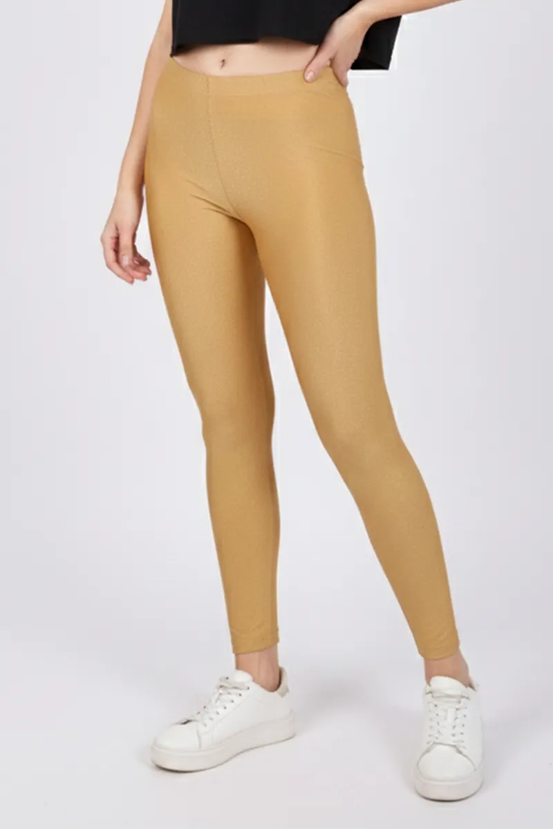 Nylon Ankle Length Shimmer Leggings for Women
